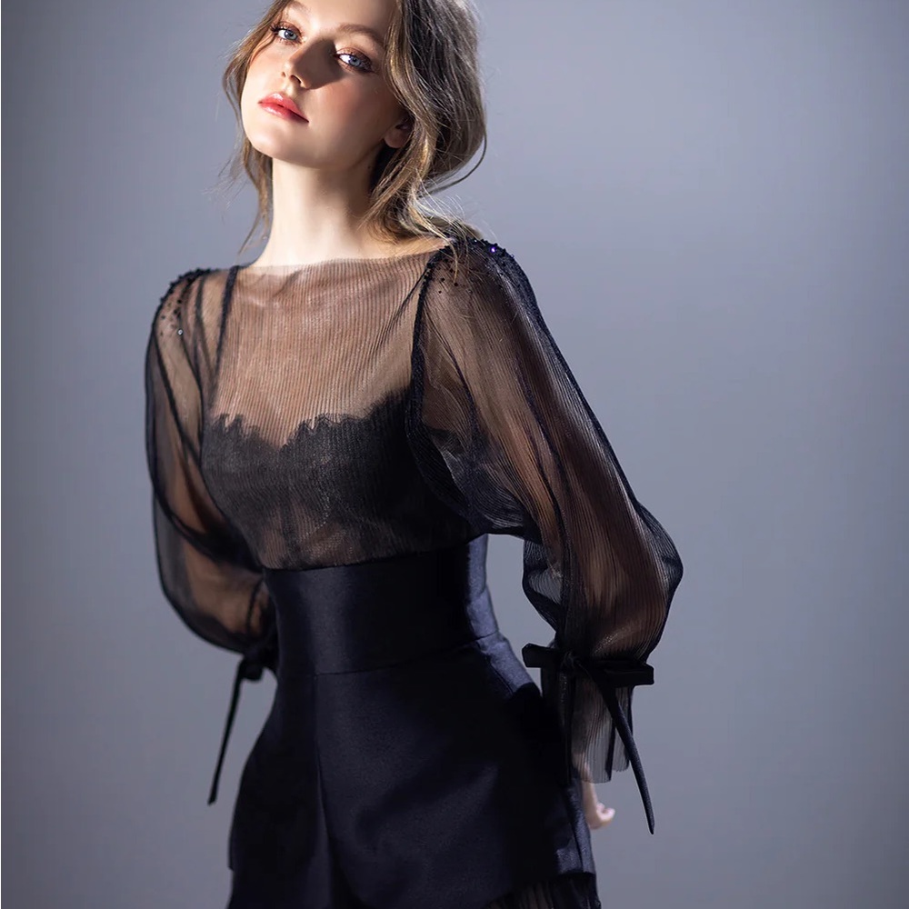 Mesh long puff sleeves top